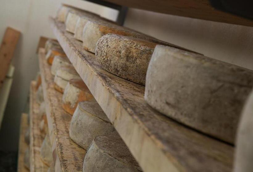 בית מלון כפרי Gallo Cedrone