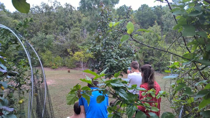 Magnetic Island Bed And Breakfast