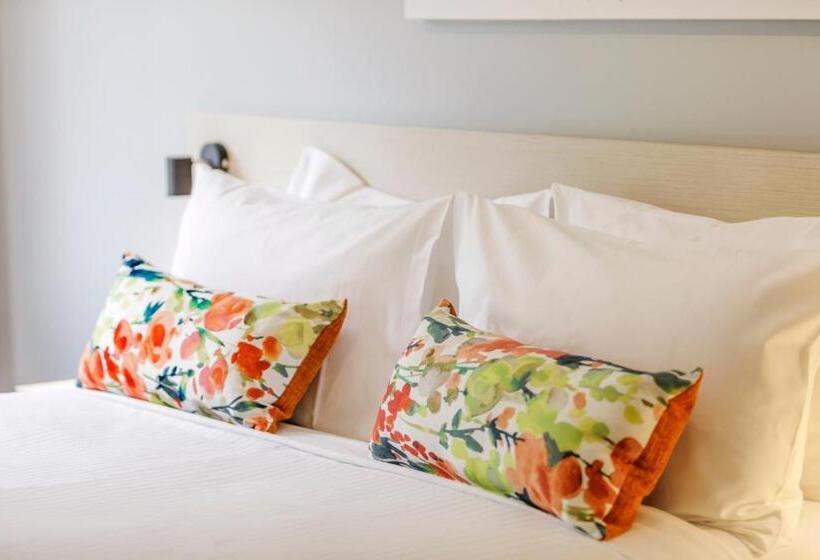 مُتل Nightcap At Findon