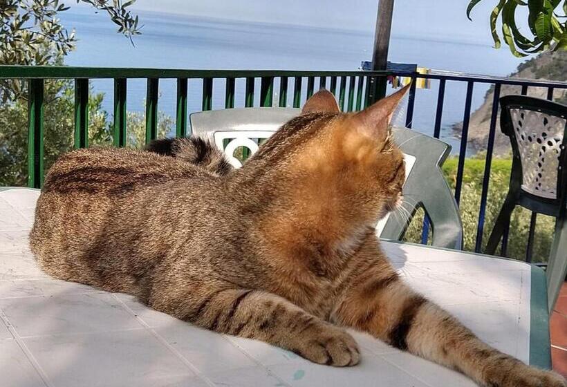 Perla Del Levante Hostel