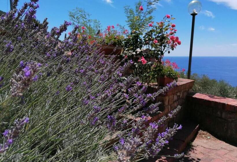 Perla Del Levante Hostel