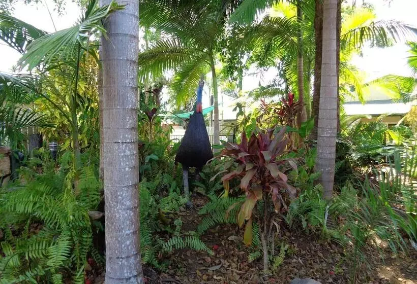 Rainforest Motel