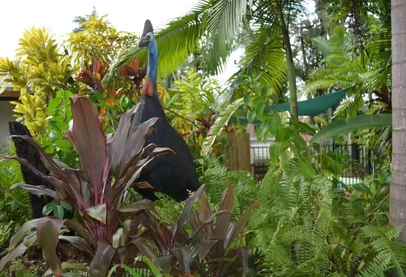 Rainforest Motel