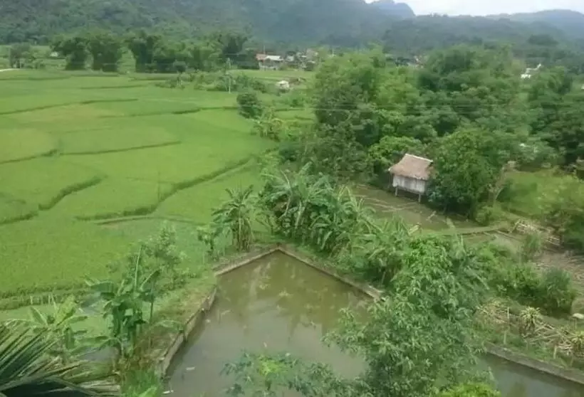 هتل Bình Minh