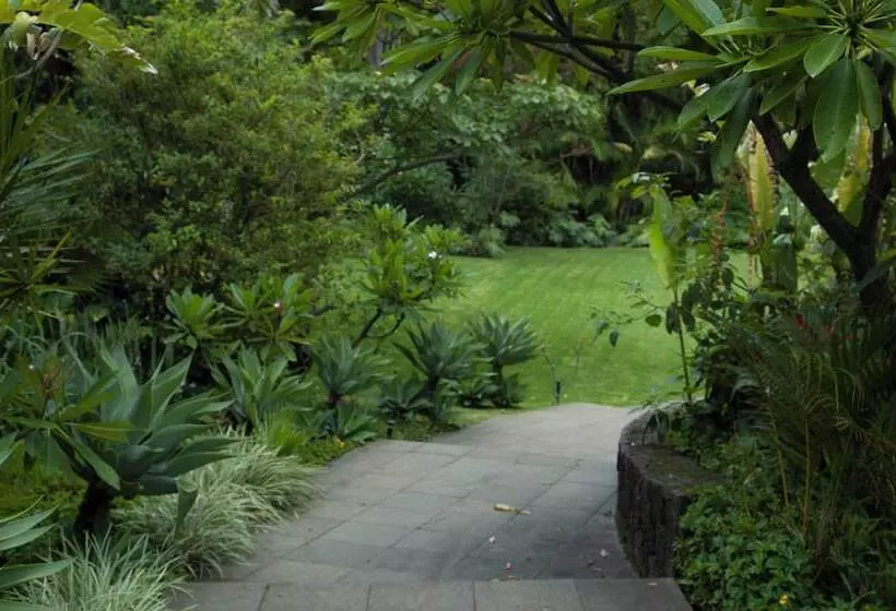 Cuernavaca Eden Hotel Boutique Doble