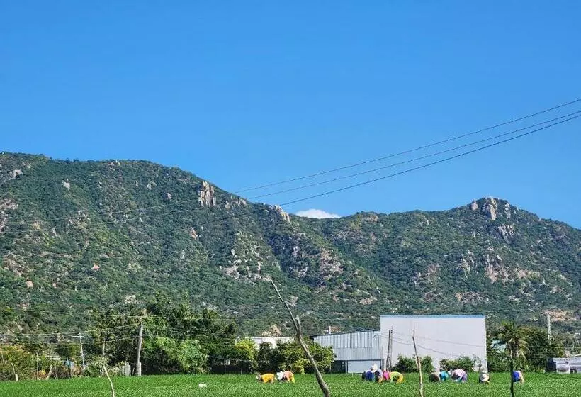 پانسیون Kite Studio   Mỹ Hòa Lagoon