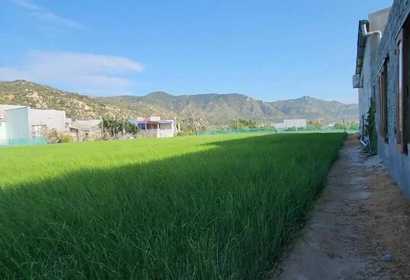 پانسیون Kite Studio   Mỹ Hòa Lagoon