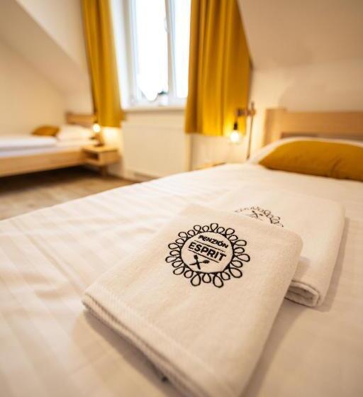 펜션 Penzión Esprit