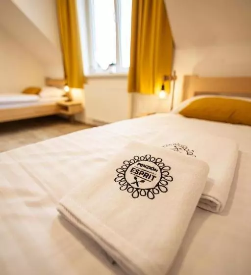Majatalo Penzión Esprit