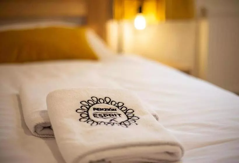 Majatalo Penzión Esprit