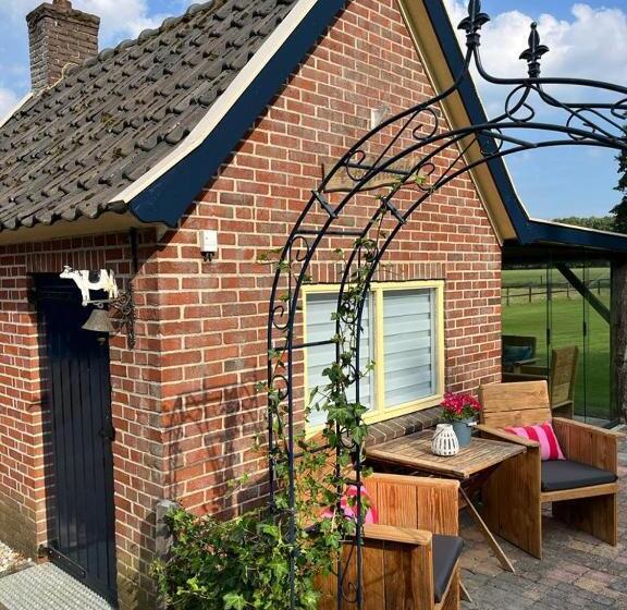 צימר T Pothuuske