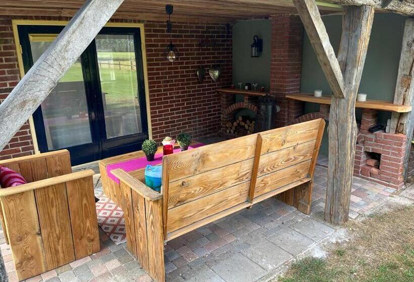 צימר T Pothuuske