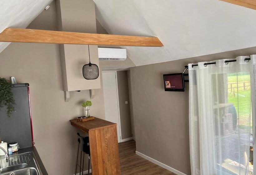 צימר T Pothuuske