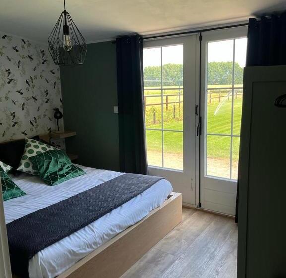 צימר T Pothuuske