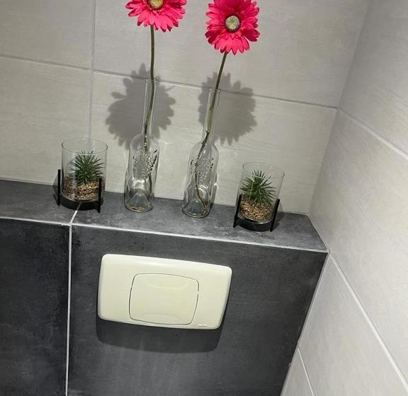 צימר T Pothuuske