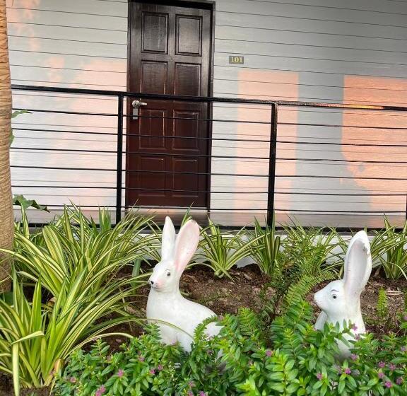 Hotel โรงแรม ปารวี บูทีค เชียงราย