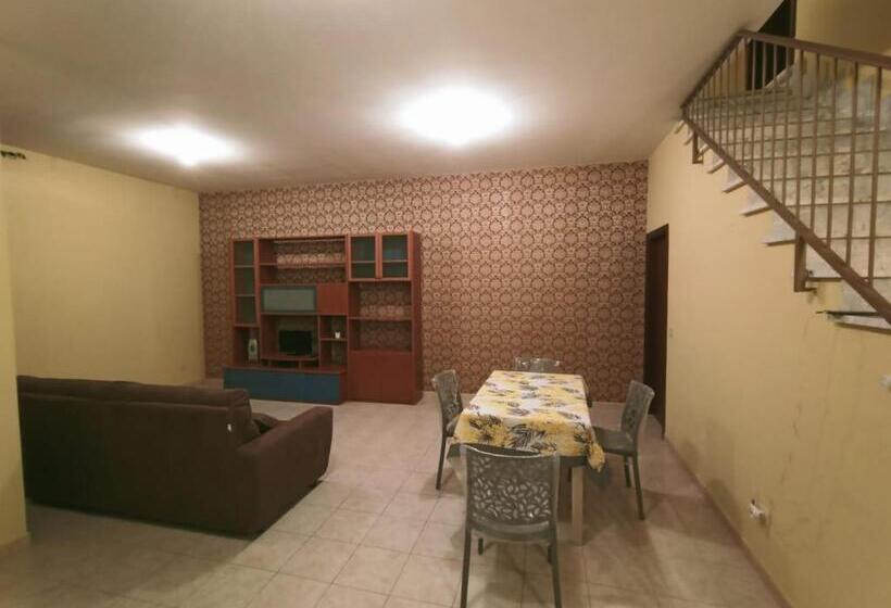 פנסיון Cat Shouse