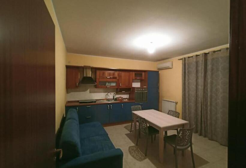 פנסיון Cat Shouse