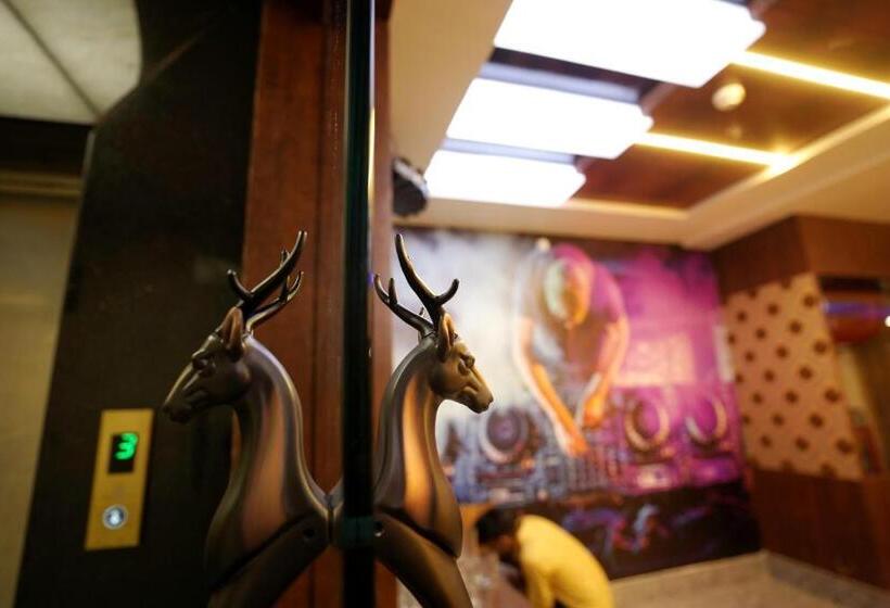 בית מלון כפרי Kingston Paradise