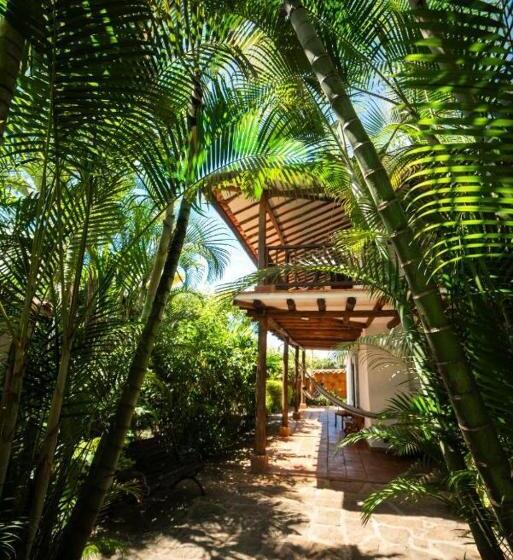 هتل Masaya Achiotte   Suite   Colombia