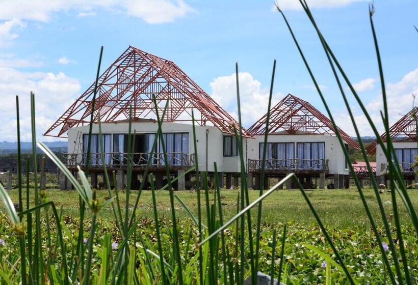 هتل The Ark Paradio Lodge