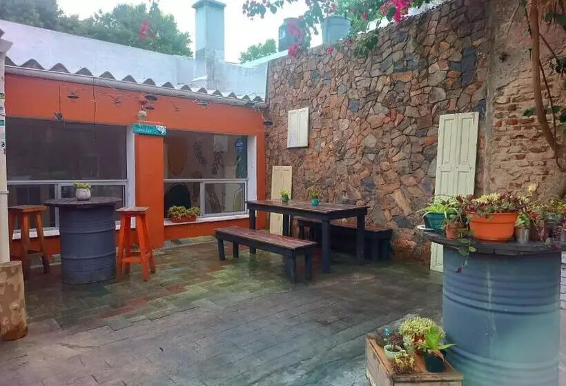 Palta Hostel