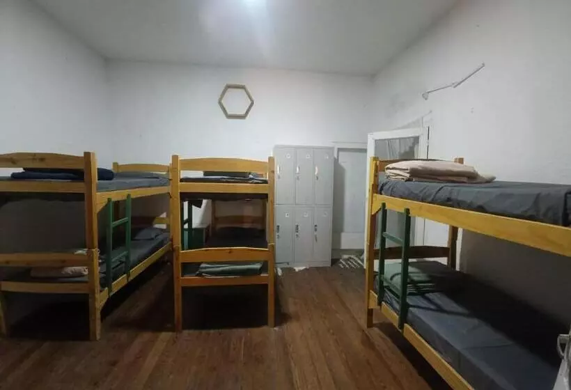 Palta Hostel