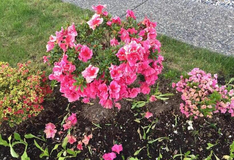 Pension Comfortable Suite For Guests To Use Independently