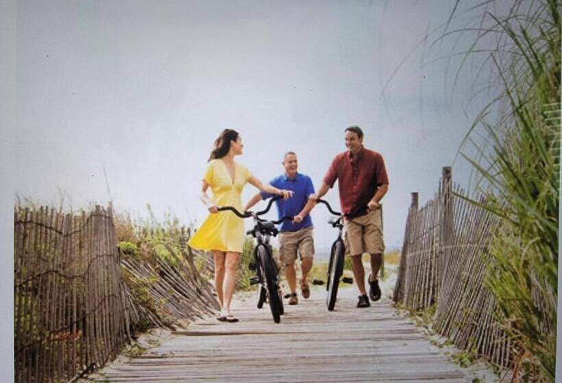 The Moorings Condo   Wild Dunes Resort   Isle Of Palms Marina