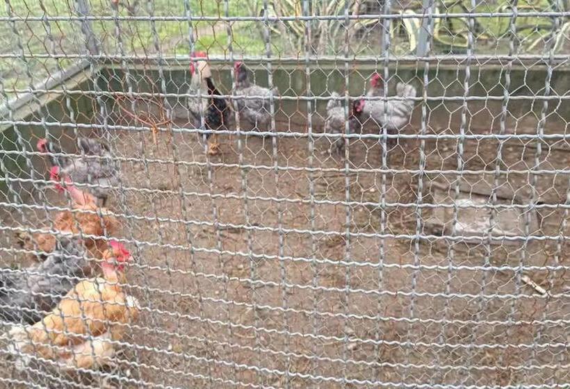 בית מלון כפרי Private Farm Kingdom Of Stone 1km Fluvial Beach