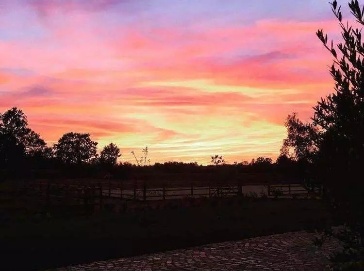 ホテル Vakantiewoning De Worfthoeve