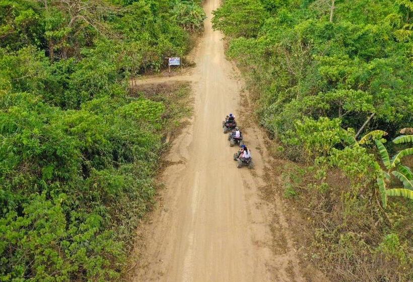 Resort El Nido Watersports And Adventures Beach Camp