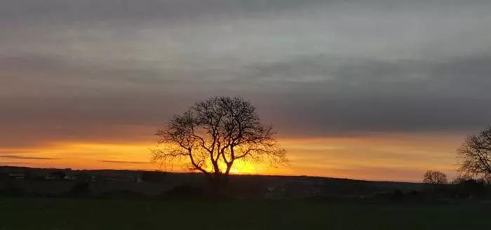 ベッドアンドブレックファースト Chambres D Hôtes Des Princes De Bel Air