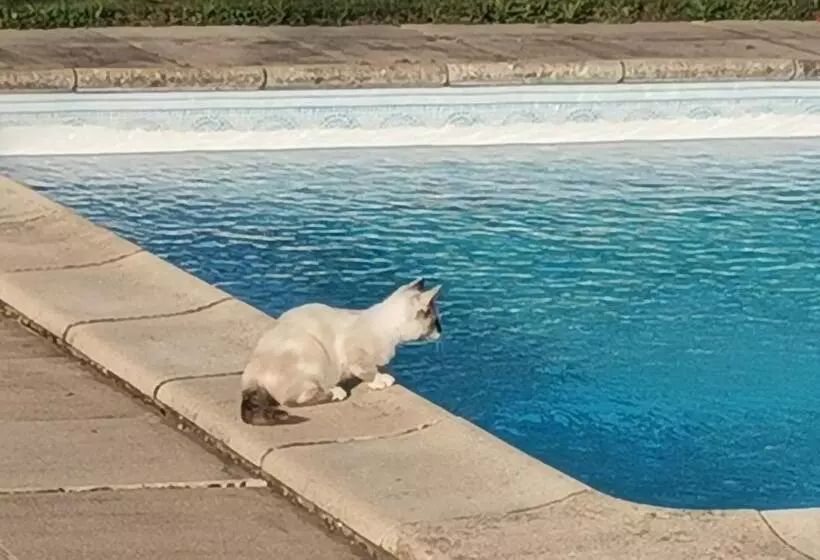 ベッドアンドブレックファースト Chambres D Hôtes Des Princes De Bel Air