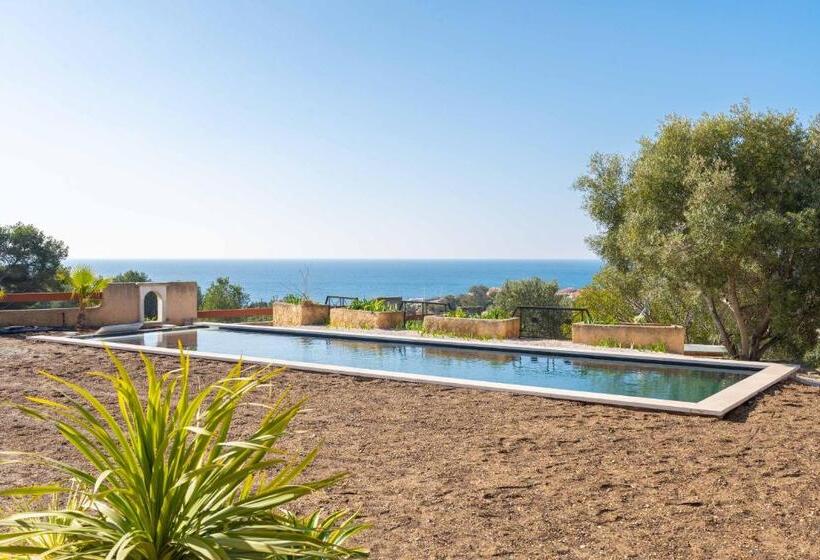 ベッドアンドブレックファースト Les Cactus Bleus