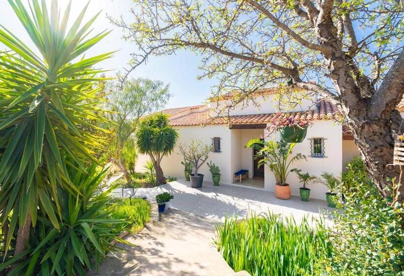 ベッドアンドブレックファースト Les Cactus Bleus