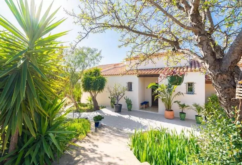 Aamiaismajoitus (B&B) Les Cactus Bleus