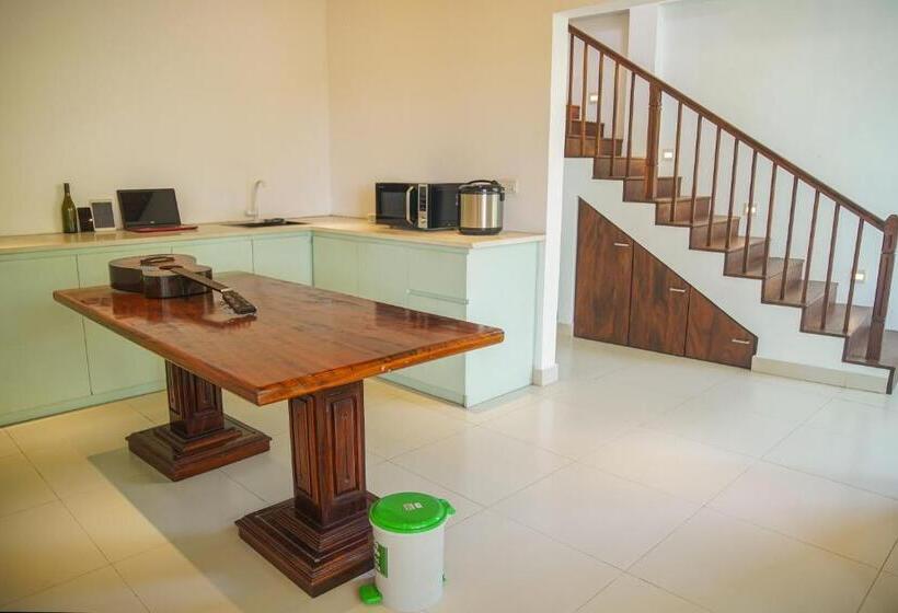 ペンション Back Packer S Oasis Unawatuna