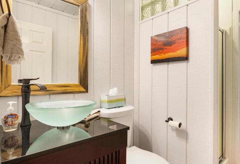 膳宿费 Big Fern Cabin