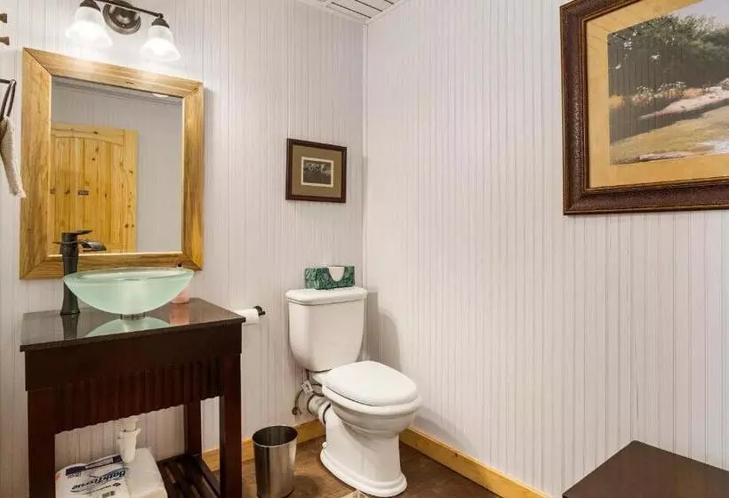 ペンション Big Fern Cabin