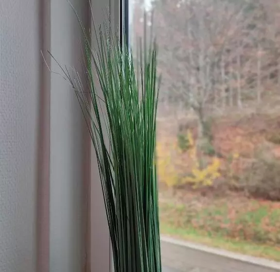 Majatalo Room In Guest Room   Single Room With Shared Bathroom And Kitchen In Hundsbach