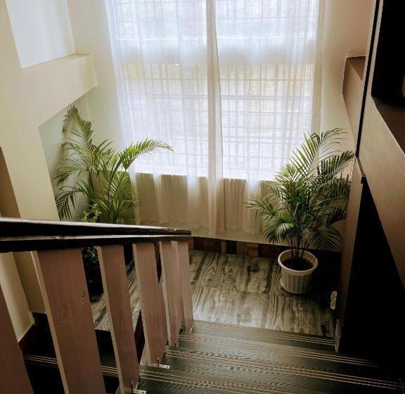 تختخواب و صبحانه Pristine Paradise