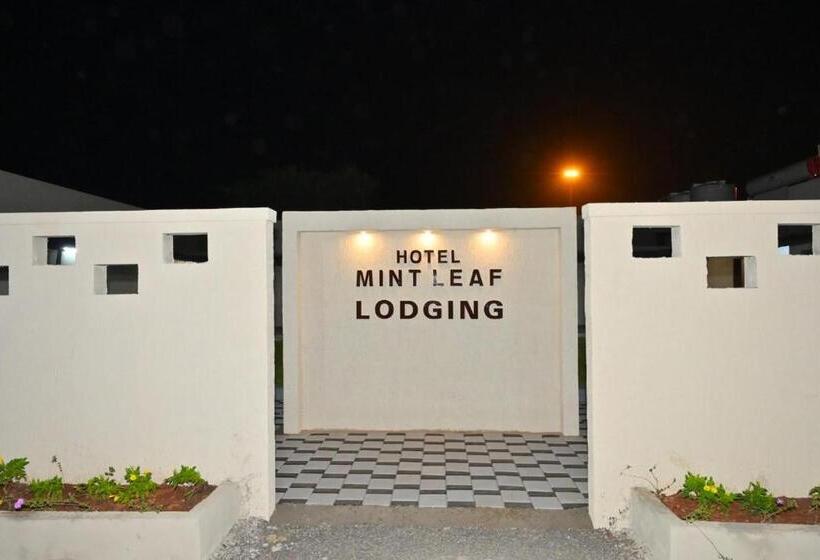 ホテル Mint Leaf