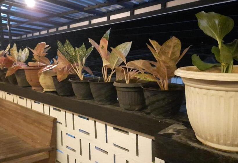 בית מלון כפרי Spot On 93815 Chimi Rumah Kost