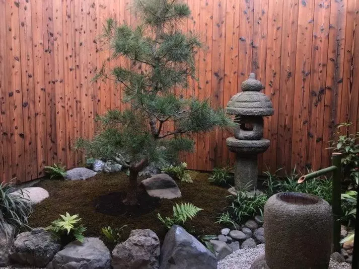 پانسیون 老松町の宿