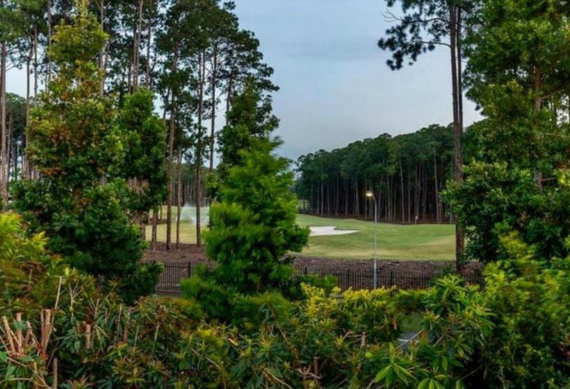 Pension Large Studio In The Heart Of Hope Island & Sanctuary Cove