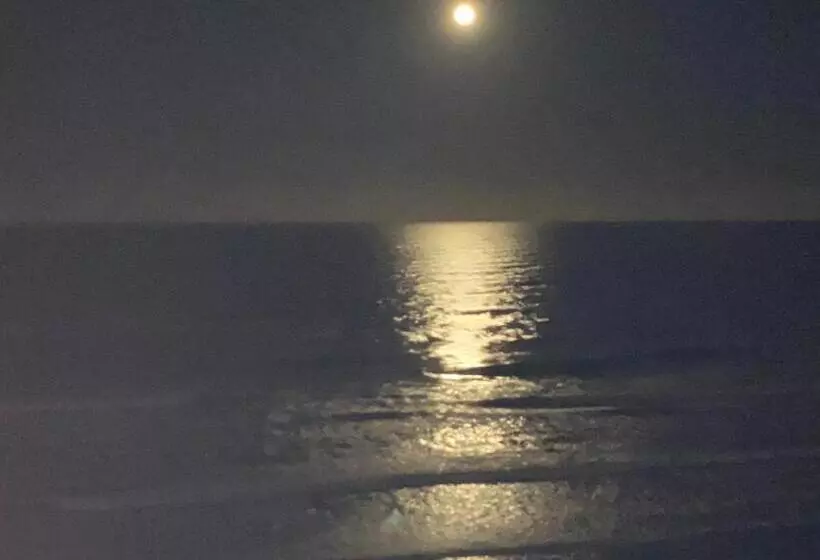 Ponce Inlet Florida Breathtaking Oceanfront Penthouse Villa!