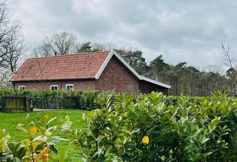 B&b Hoeve Fraai Achterhoek