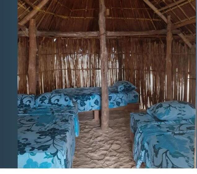 مبيت وإفطار San Blas Gabin Sdt