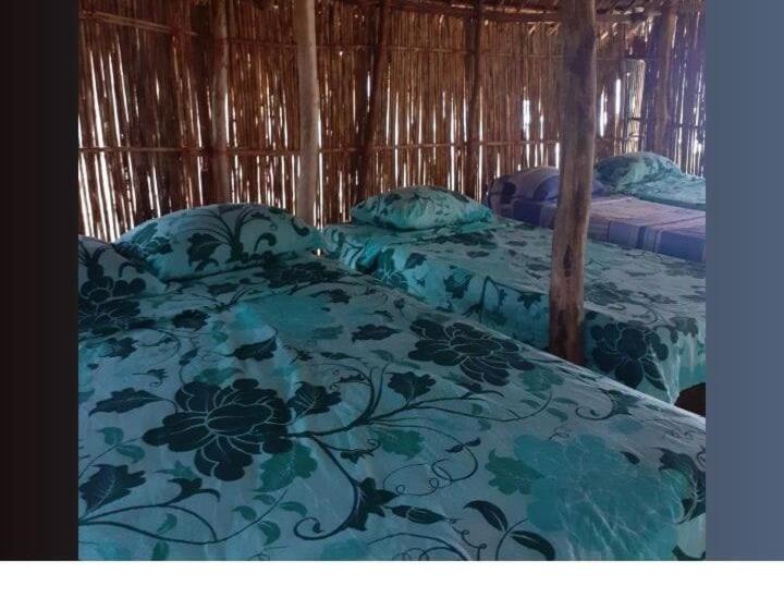 مبيت وإفطار San Blas Gabin Sdt